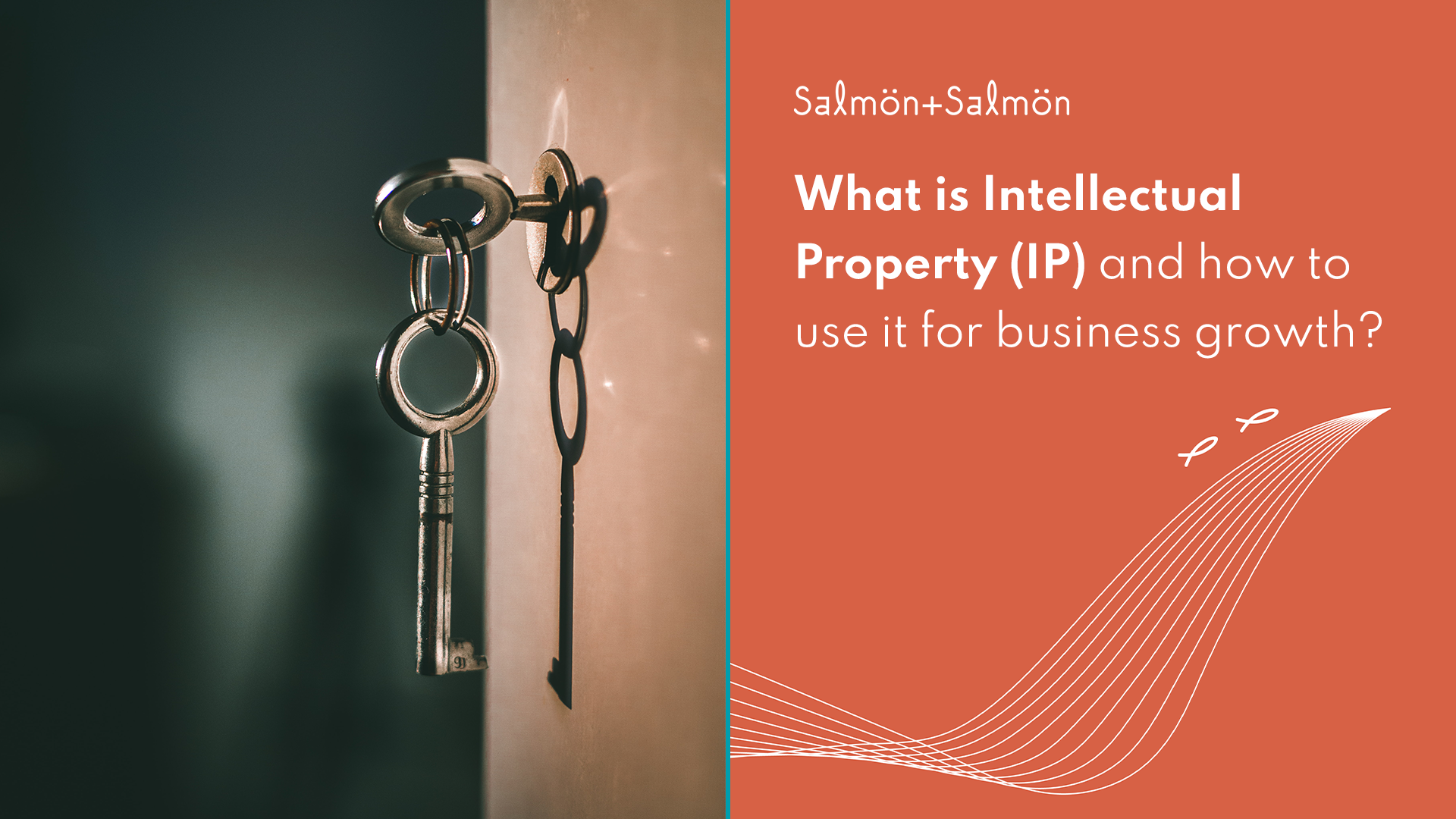 What is IP