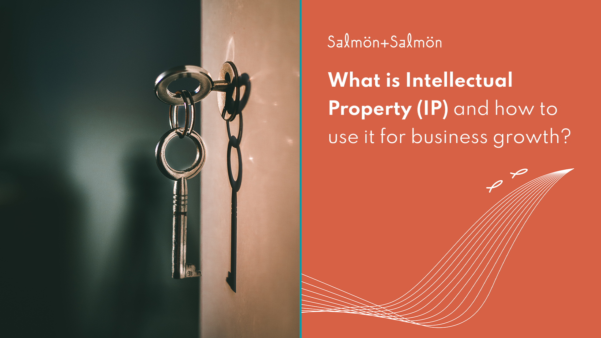 What Is Intellectual Property IP And How To Use It For Business 